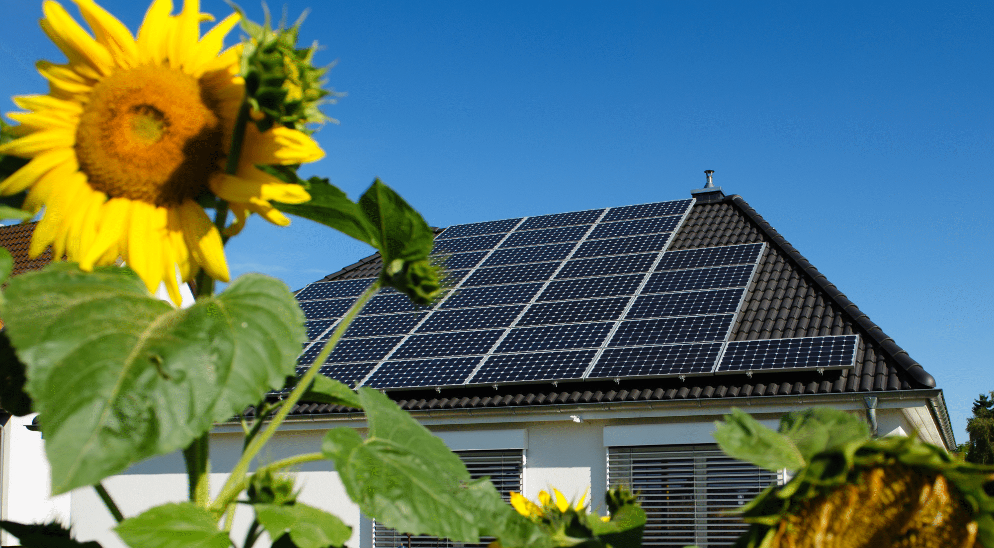 How To Install Solar Panels To Electric Grid